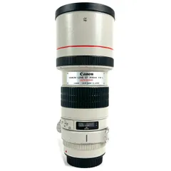 2023年最新】EF 300mm F4 L USMの人気アイテム - メルカリ