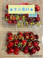 山形県産さくらんぼ「紅さやか」200gパック×2【 Lサイズ 】