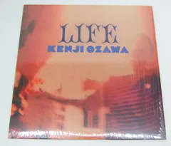 小沢健二 Kenji Ozawa Life ライフ LP レコード 90年代を代表する不朽の名盤！小沢健二「LIFE」アナログレコード