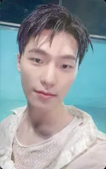 【中古】コレクションカード(男性) [ホロ仕様]：SEVENTEEN/ディノ(DINO)/CD「SPILL THE FEELS」(CARAT VER.)SEVENTEEN Weverse Shop JAPAN特典ホログラム入りスペシャルフォトカード