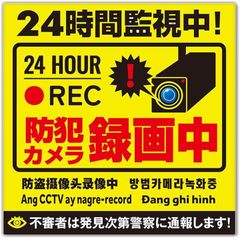 Item thumbnail for item 2c18073e-9e88-41ca-9551-02c68baf6521