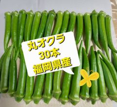 丸オクラ　30本　福岡県産