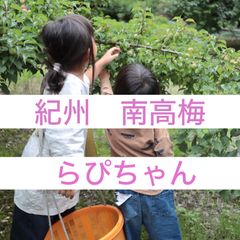 【クール便】123◯青梅　 3L 10kg