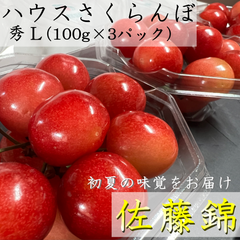 ＊終了間近＊ハウスさくらんぼ【佐藤錦】300g（100g×3p入）＊5/12～5/31お届け＊