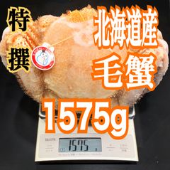 北海道産 冷凍ボイル毛蟹 超特大(1,575グラム) 訳あり限定1尾のみ❗️