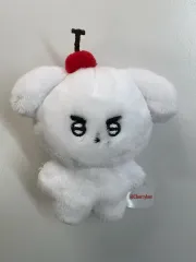 THE BOYZ ヨンフン ぬいぐるみ 설빵 ドボイズ　ドボ THE BOYZ ヨンフン ぬいぐるみ 설빵 20cm 未開封 - メルカリ