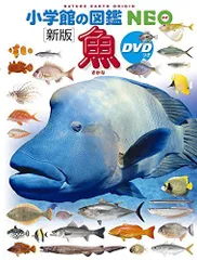 2024年最新】深海生物 dvdの人気アイテム - メルカリ