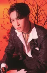 【中古】コレクションカード(男性) ATEEZ/ソンファ(Seonghwa/CD「THE WORLD EP.PARADIGM」タワーレコード店舗限定特典オリジナルトレカ