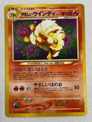 2025年最新】やさしいウインディの人気アイテム - メルカリ