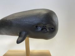 埴輪「マッコウクジラ」【はにわ作家 松江直樹さんコラボ作品】