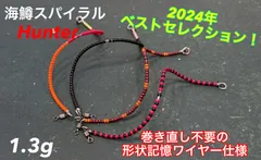 2026年最新】海鱒スパイラルの人気アイテム - メルカリ