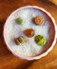 リトープス丼ブルゲリ添え 多肉植物 受け皿付き 2号鉢 鉢ごと発送 リトープス ブルゲリ