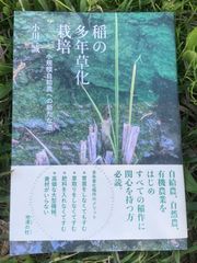 稲の多年草化栽培　小規模自給農への新たな道 /小川誠