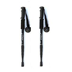 Item thumbnail for item 94db4845-06d4-410d-8831-28c9697cad2c