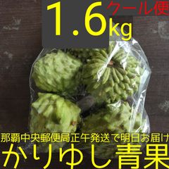 沖縄県産 アテモヤＢ品約1.6kg【クール便】10/18②