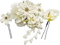 Item thumbnail for item 20fa79a3-b112-4364-9bde-d0fa6f9bdf0a