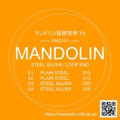 マンドリン弦YMS101　GDAEセット