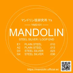 マンドリン弦YMS101　GDAEセット