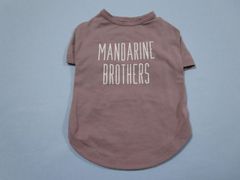 MANDARINE BROTHERS　Lサイズ　胴回り50cm　ベーシック　クール　Tシャツ　ヴァイオレット　中古 定価2670円
