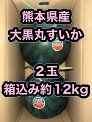 北海道沖縄離島追加送料無し　熊本県産赤肉黒皮すいか《大黒丸》２玉箱込み約12kg
