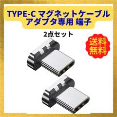 マグネット USB-Cアダプタ 専用端子 Sisyphy磁気対応 （2つ入り)