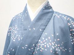 【一輝堂】リサイクル着物 小紋 夏物 夏 絽 花弁散らし文 身丈約162cm 裄丈約66.5cm 25z07-3833