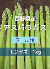 長野県産 アスパラガス Lサイズ 1kg