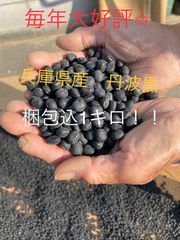 約950g  兵庫県産丹波黒　おばあちゃんが作った美味しい黒豆