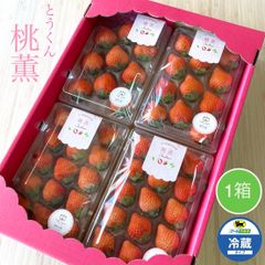 期間限定‼️ 【クール便送料込】スターナイト朝採いちご1箱4パック入