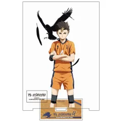 【新品・公式】ハイキュー!! (大) 西谷夕 アクリルスタンドVer.1.0 公式グッズ colleize コレイズ