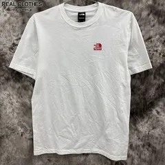 Supreme×THE NORTH FACE/シュプリーム×ノースフェイス 【19AW】Statue of Liberty Tee/スタチュー オブ リバティ 半袖シャツ/ホワイト/S