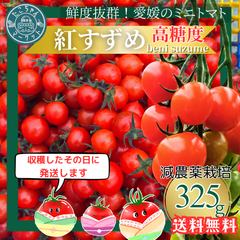 高糖度★収穫後すぐ発送！　高糖度紅すずめ　325g　ミニトマト　こだわり農家の希少な逸品