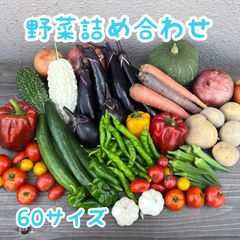 夏野菜詰め合わせ 野菜セット 60サイズ - メルカリ