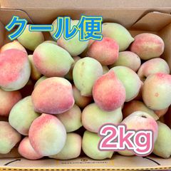 沖縄県産 台湾水蜜桃 2kg