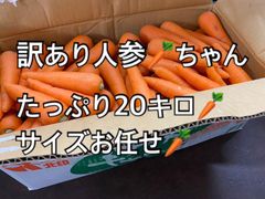 長崎県産　訳ありにんじん　サイズお任せ　20キロ　クール便【名古屋市中央卸売市場】