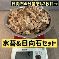 【高品質】水苔15gと【粒揃い】日向石150g