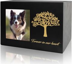 Item thumbnail for item 27d8fcc0-cf31-465a-86f8-ebf090f6e084