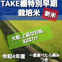 TAKEの棚田米5kg令和4年産新米特別栽培米