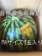 富里1番なりスイカ味きらら3Lサイズ2玉入り 富里1番なりスイカ味きらら3Lサイズ2玉入り 富里1番なり