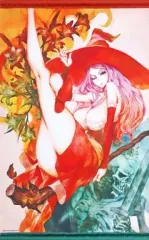 【中古】タペストリー [単品]ソーサレス ヴァニラウェア描き下ろしA2タペストリー 「PS3ソフト ドラゴンズクラウン ファミ通DXパック」 エビテン限定同梱特典