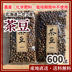 【農薬・化学肥料：栽培期間中不使用】茶豆 600g  北海道 ニセコ