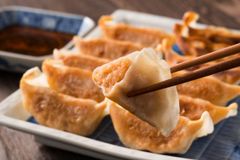 【博多徳永】黒豚入りめんたい餃子　50個入り