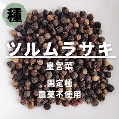 【種】ツルムラサキ　皇宮菜　農薬不使用　70粒