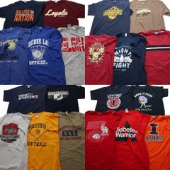 古着卸 まとめ売り カラーmix プリント 半袖Tシャツ 20枚セット (メンズ L ) チームロゴ 英文字プリント ワンポイント 中古 古着 NA7015