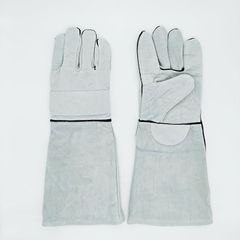 Item thumbnail for item 8068af6a-525e-4f24-9a9f-bbef89e6a599