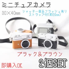 2個セット　ミニチュア　カメラ　フラッシュ　レトロ　ドール　ディスプレイ　小物
