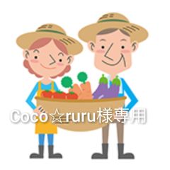 淡路島産 葉玉ねぎ訳あり品「スーパーアップ」、「貴錦」淡路島玉ねぎ 新玉ねぎ