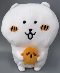 2025年最新】もぐコロの人気アイテム - メルカリ