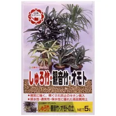 2025年最新】観音竹の人気アイテム - メルカリ