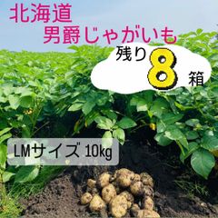 じゃがいも　北海道　10キロ